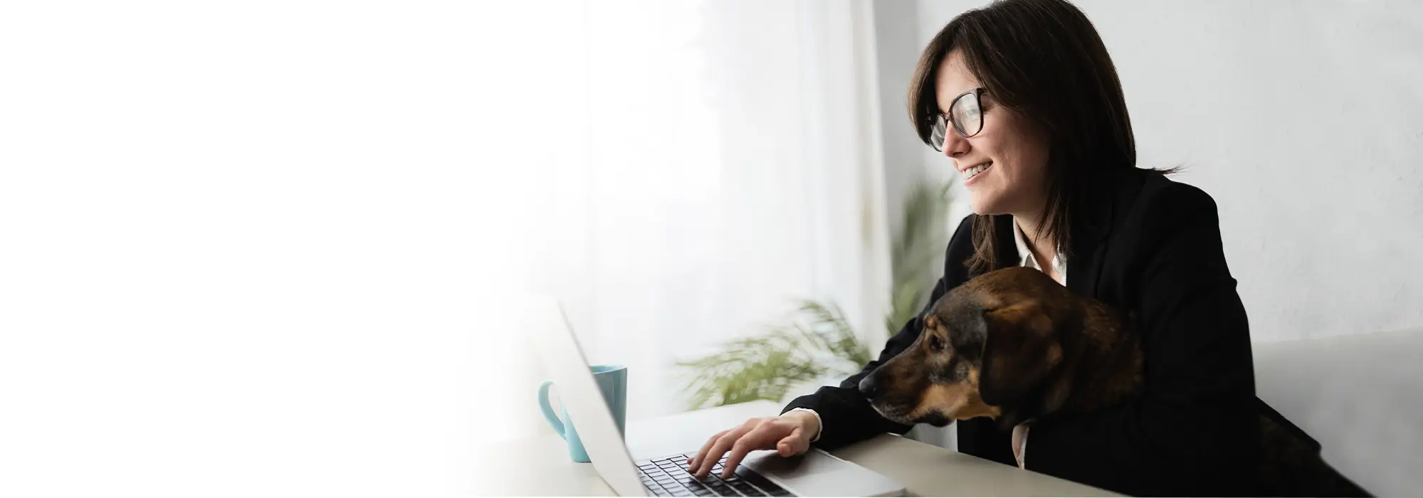 SEO Companies Penticton